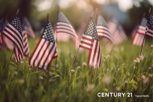 Picture of American Flags in a field