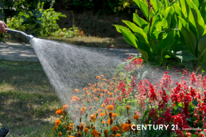 Picture of someone watering flowers with a hose