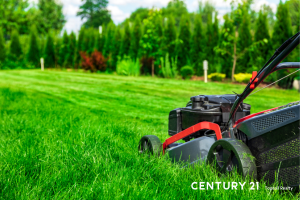 Mowing a summer lawn