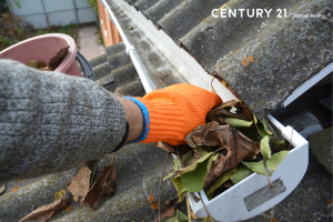 Cleaning of Gutters